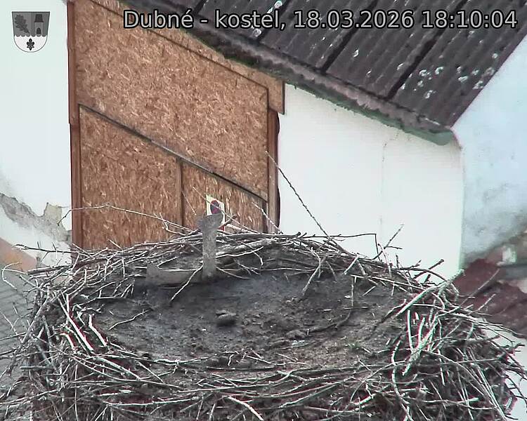Capi_Dubne_20260318_181004.jpg (1350&nbsp;x&nbsp;1080)