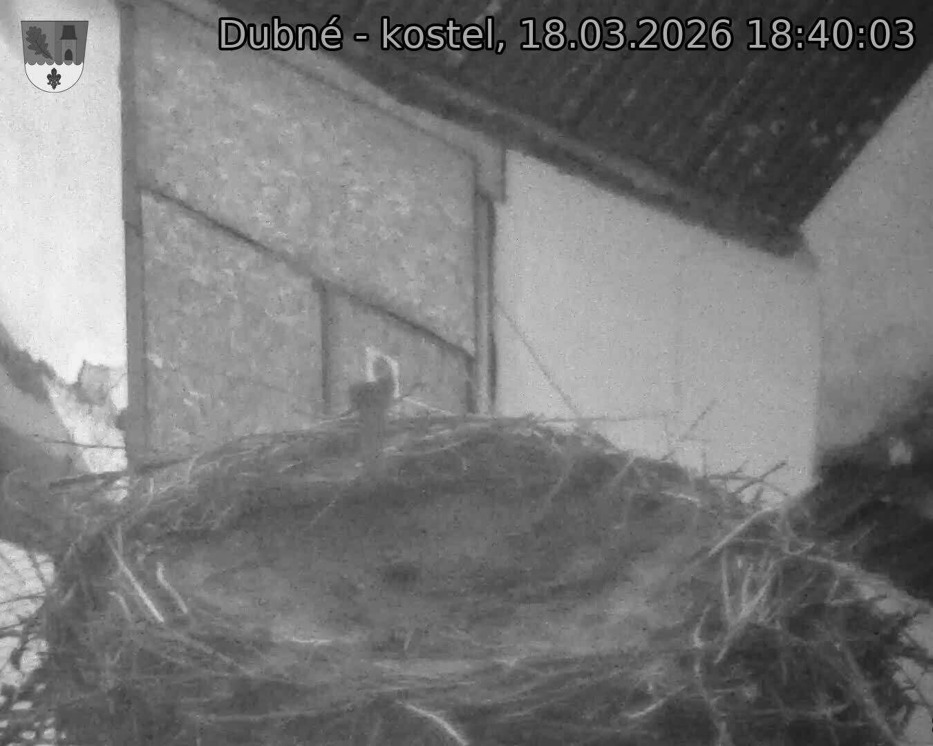 Capi_Dubne_20260318_184003.jpg (1350&nbsp;x&nbsp;1080)