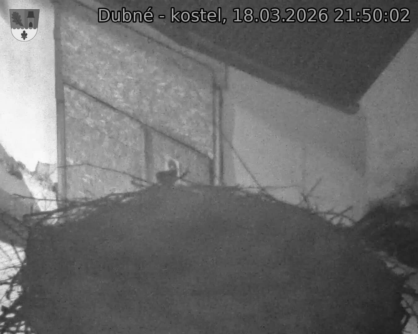Capi_Dubne_20260318_215002.jpg (1350&nbsp;x&nbsp;1080)