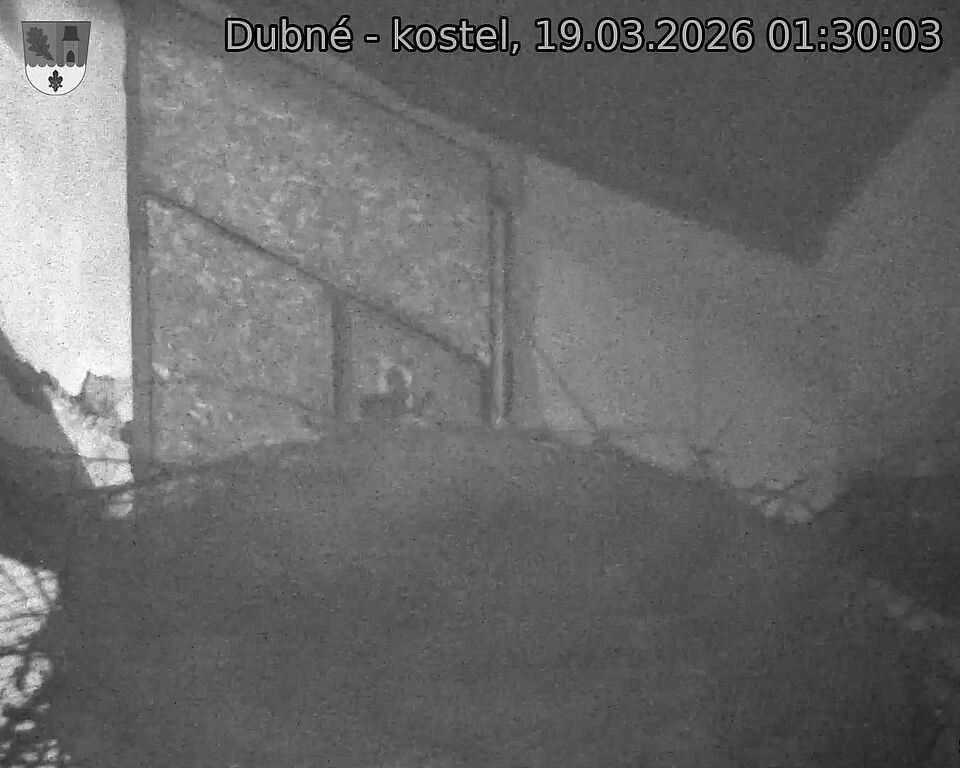 Capi_Dubne_20260319_013003.jpg (1350&nbsp;x&nbsp;1080)