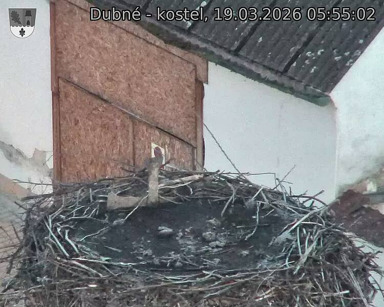 Capi_Dubne_20260319_055502.jpg (1350&nbsp;x&nbsp;1080)