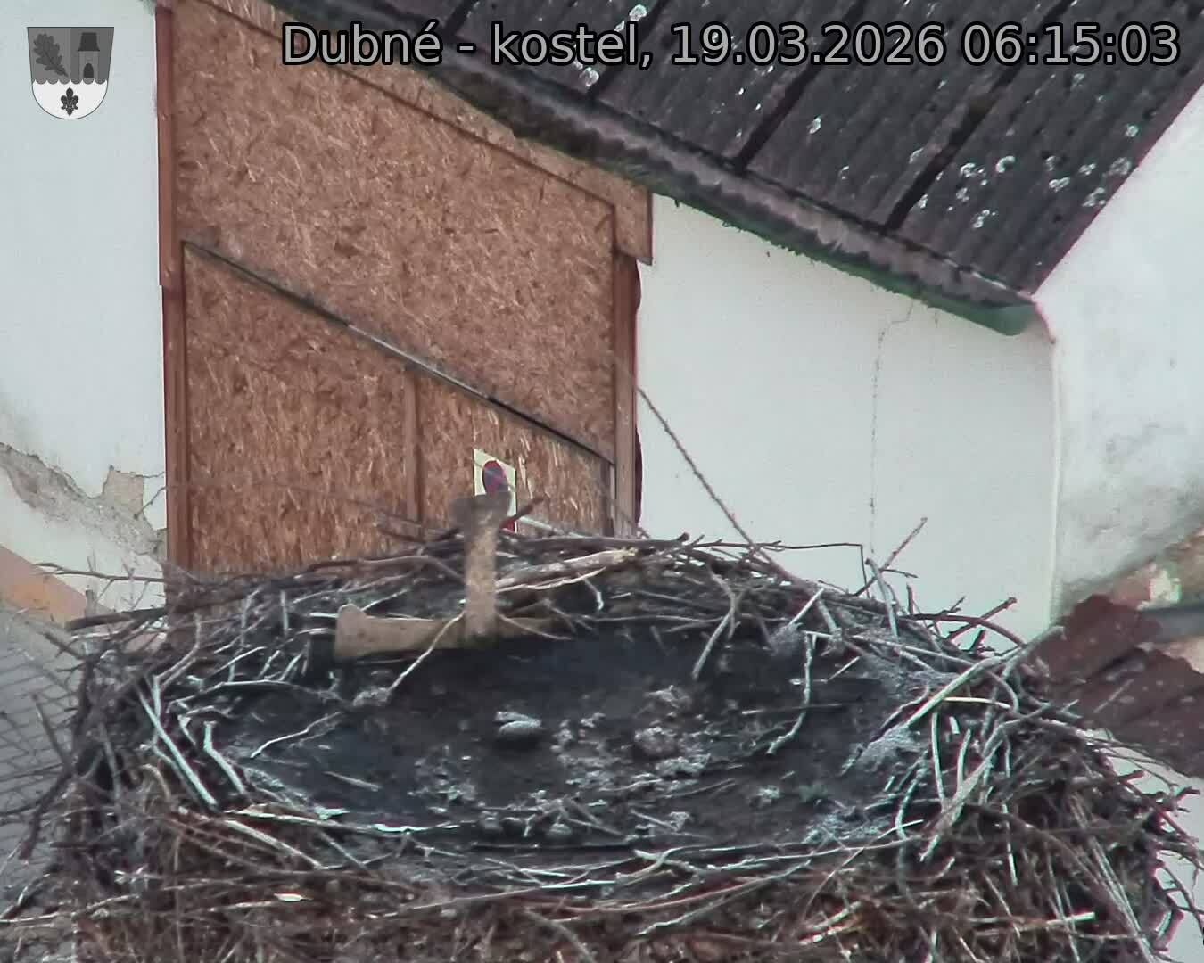 Capi_Dubne_20260319_061503.jpg (1350&nbsp;x&nbsp;1080)