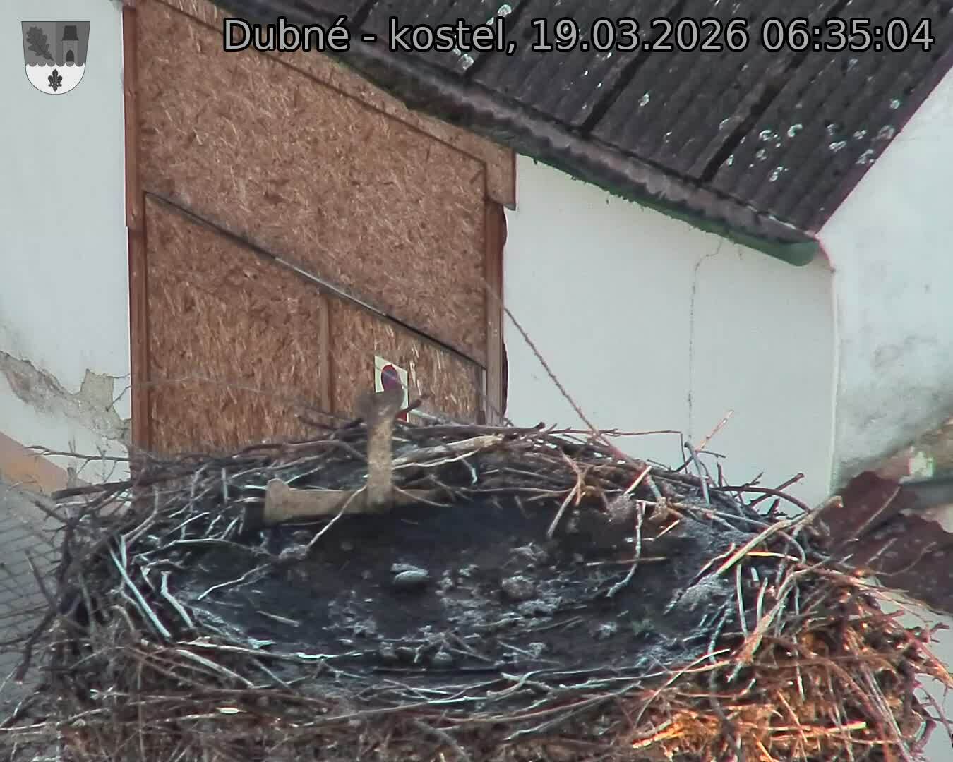 Capi_Dubne_20260319_063504.jpg (1350&nbsp;x&nbsp;1080)