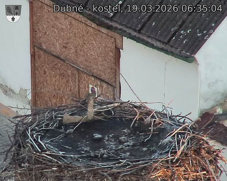 Capi_Dubne_20260319_063504.jpg (1350&nbsp;x&nbsp;1080)