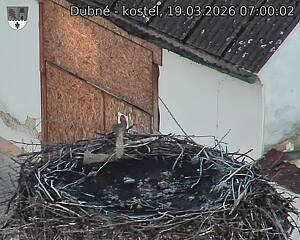 Capi_Dubne_20260319_070002.jpg (1350&nbsp;x&nbsp;1080)