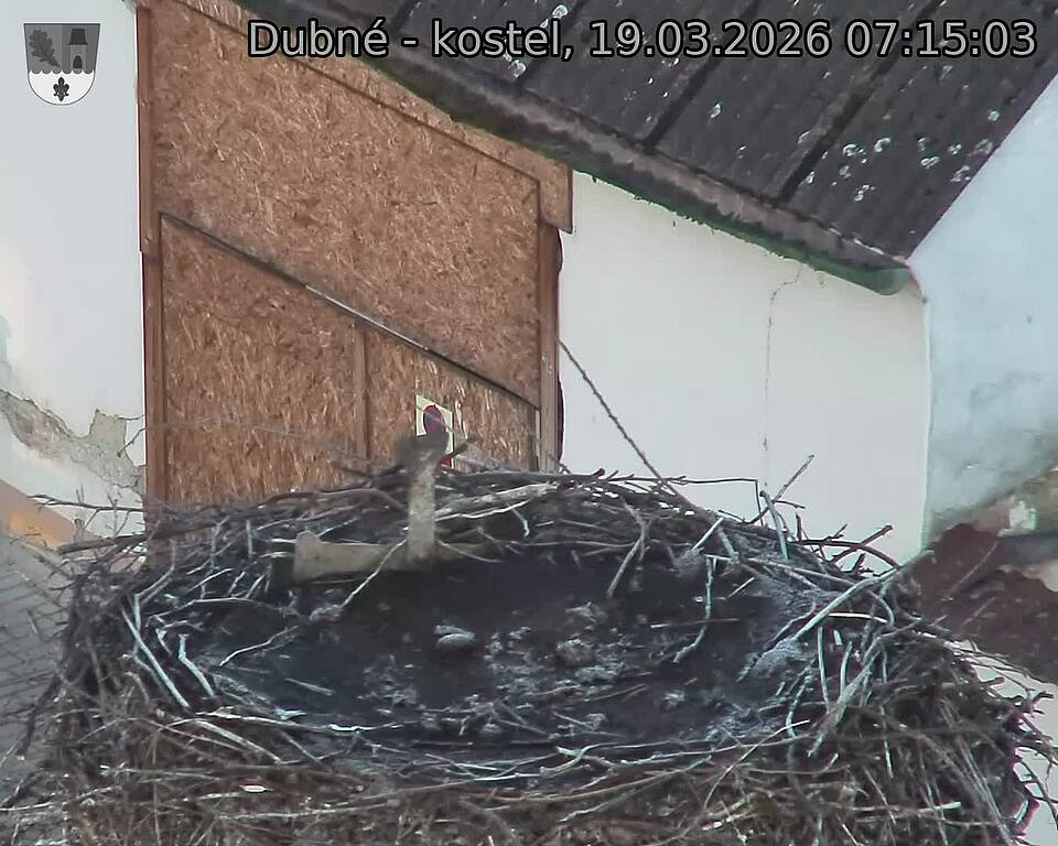 Capi_Dubne_20260319_071503.jpg (1350&nbsp;x&nbsp;1080)