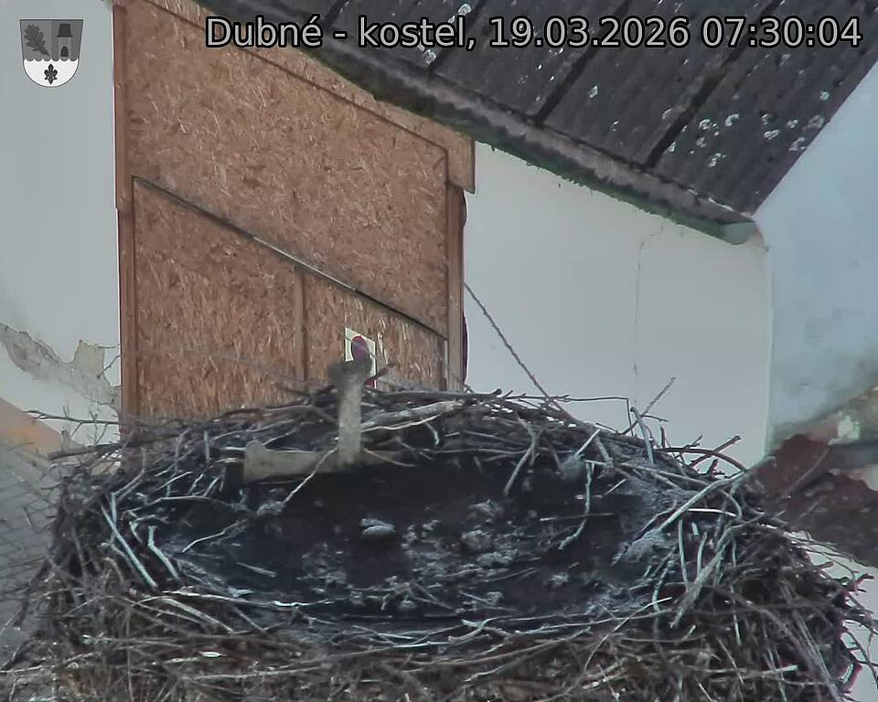 Capi_Dubne_20260319_073004.jpg (1350&nbsp;x&nbsp;1080)