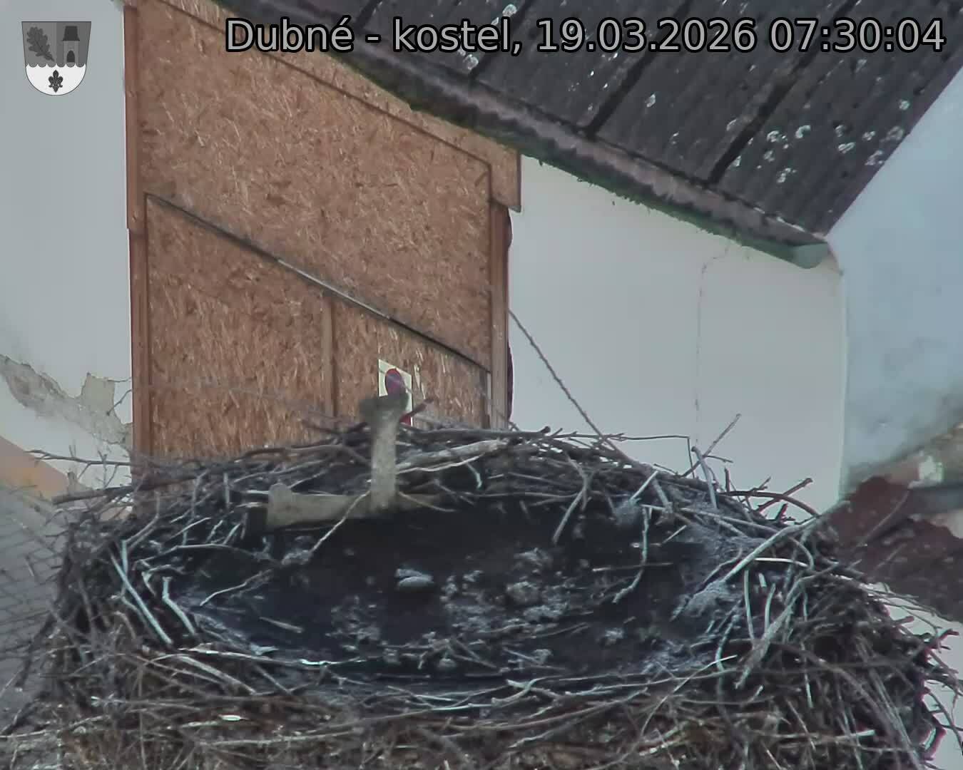 Capi_Dubne_20260319_073004.jpg (1350&nbsp;x&nbsp;1080)