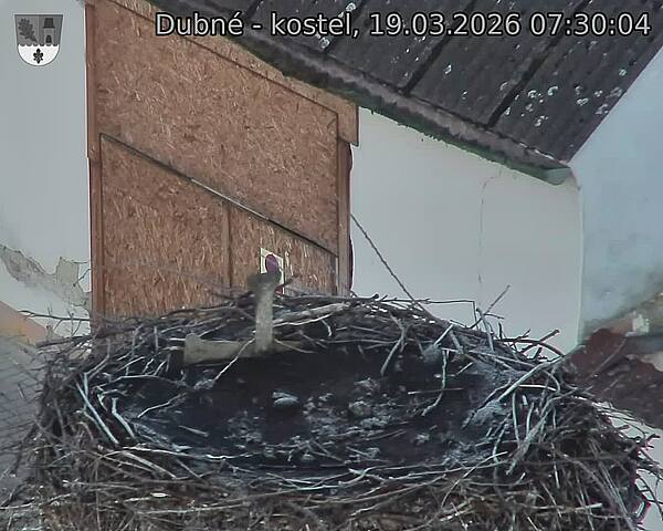 Capi_Dubne_20260319_073004.jpg (1350&nbsp;x&nbsp;1080)