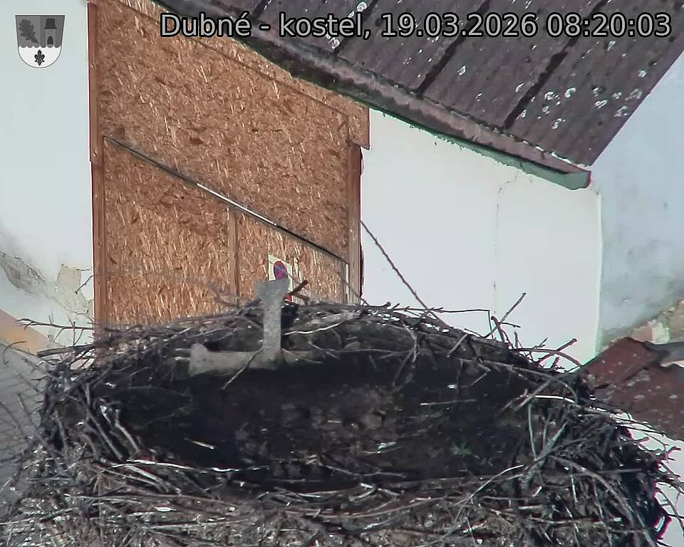 Capi_Dubne_20260319_082003.jpg (1350&nbsp;x&nbsp;1080)