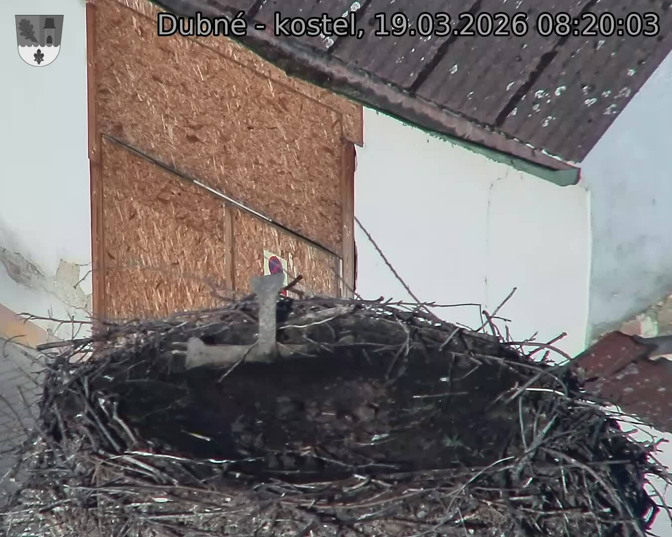 Capi_Dubne_20260319_082003.jpg (1350&nbsp;x&nbsp;1080)