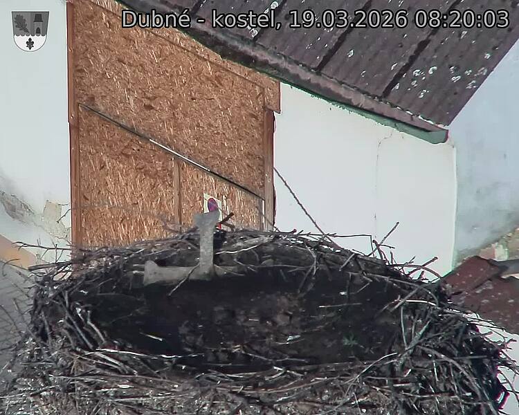 Capi_Dubne_20260319_082003.jpg (1350&nbsp;x&nbsp;1080)