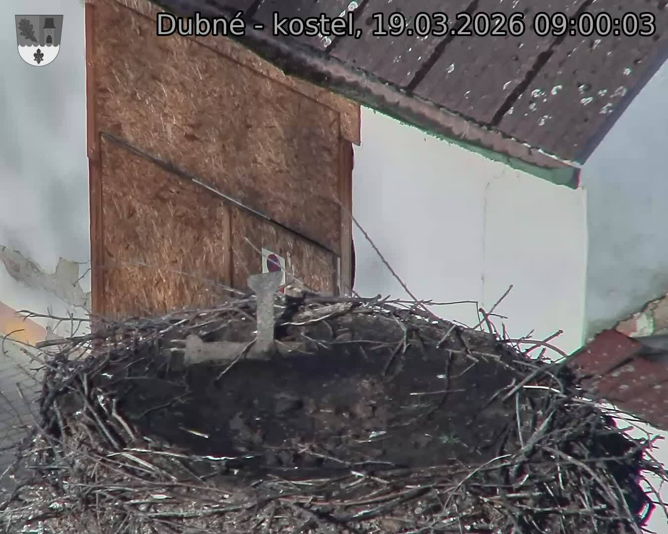 Capi_Dubne_20260319_090003.jpg (1350&nbsp;x&nbsp;1080)
