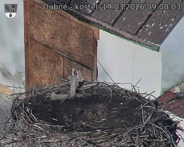 Capi_Dubne_20260319_090003.jpg (1350&nbsp;x&nbsp;1080)