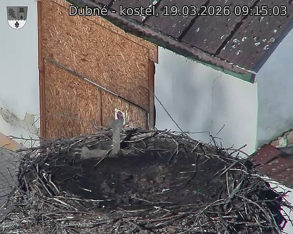 Capi_Dubne_20260319_091503.jpg (1350&nbsp;x&nbsp;1080)
