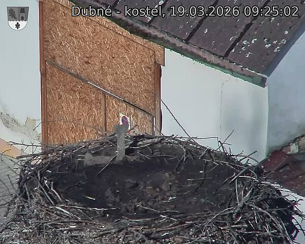 Capi_Dubne_20260319_092502.jpg (1350&nbsp;x&nbsp;1080)