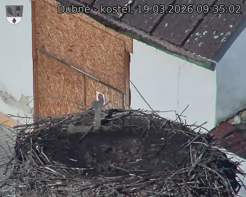 Capi_Dubne_20260319_093502.jpg (1350&nbsp;x&nbsp;1080)