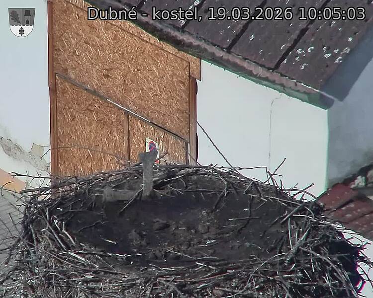 Capi_Dubne_20260319_100503.jpg (1350&nbsp;x&nbsp;1080)