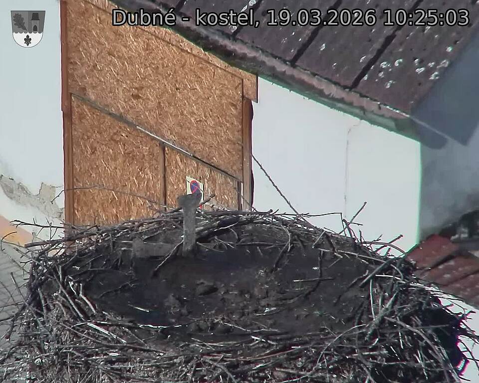 Capi_Dubne_20260319_102503.jpg (1350&nbsp;x&nbsp;1080)