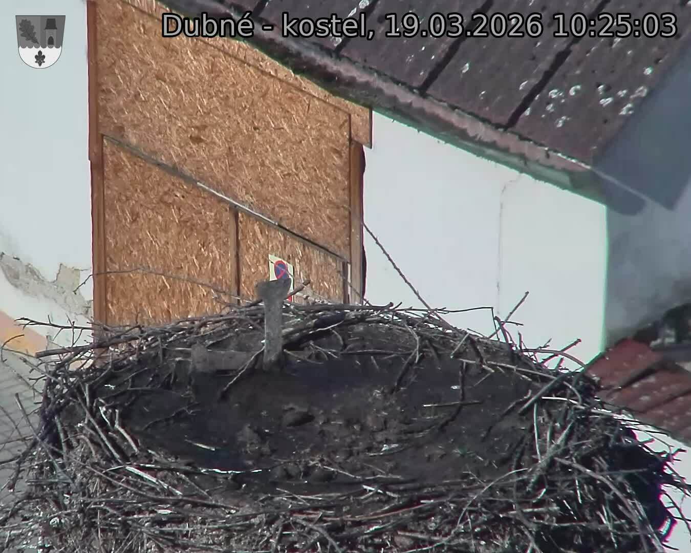 Capi_Dubne_20260319_102503.jpg (1350&nbsp;x&nbsp;1080)