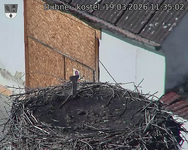 Capi_Dubne_20260319_113502.jpg (1350&nbsp;x&nbsp;1080)