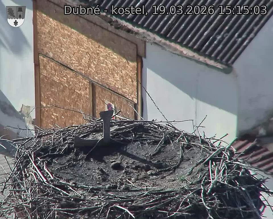 Capi_Dubne_20260319_151503.jpg (1350&nbsp;x&nbsp;1080)