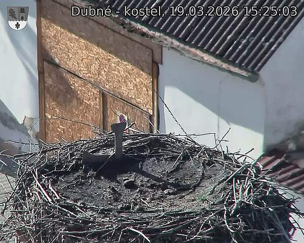 Capi_Dubne_20260319_152503.jpg (1350&nbsp;x&nbsp;1080)