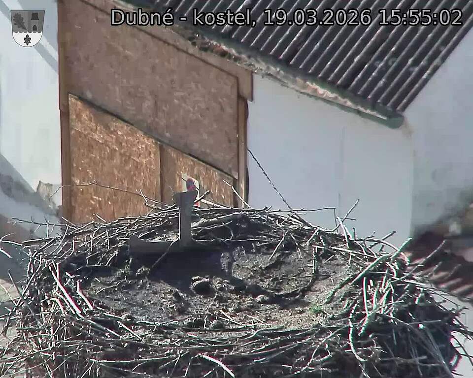 Capi_Dubne_20260319_155502.jpg (1350&nbsp;x&nbsp;1080)