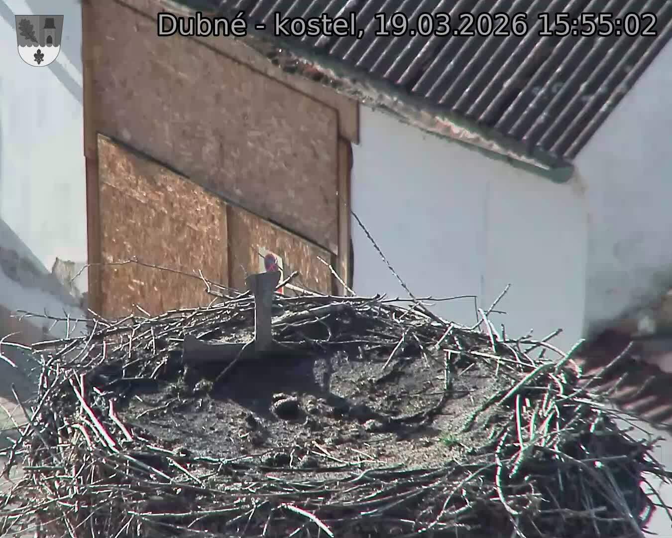 Capi_Dubne_20260319_155502.jpg (1350&nbsp;x&nbsp;1080)