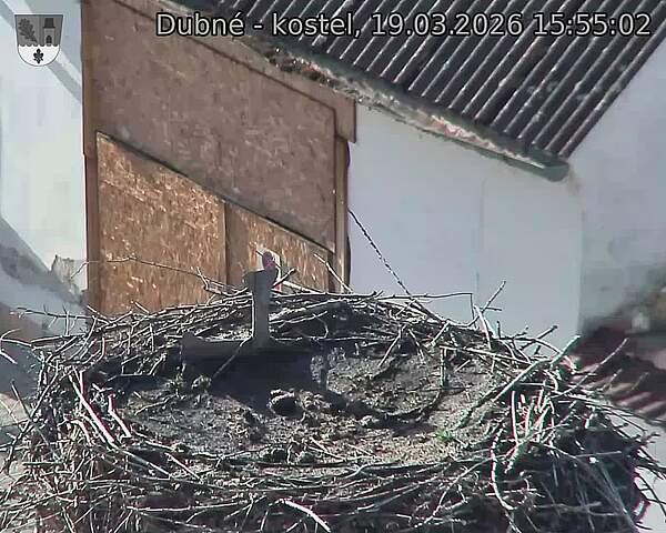 Capi_Dubne_20260319_155502.jpg (1350&nbsp;x&nbsp;1080)