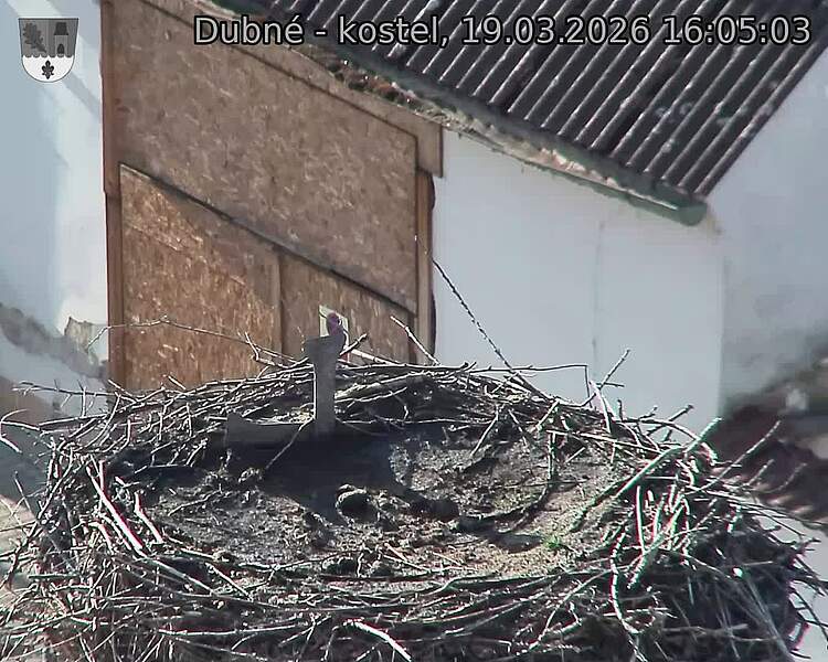 Capi_Dubne_20260319_160504.jpg (1350&nbsp;x&nbsp;1080)