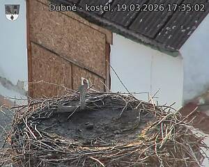 Capi_Dubne_20260319_173502.jpg (1350&nbsp;x&nbsp;1080)