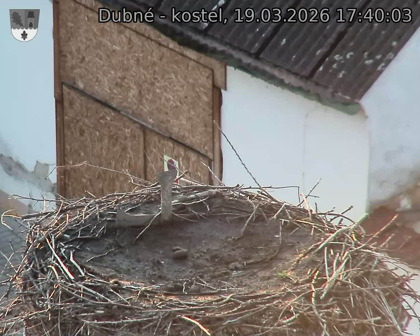 Capi_Dubne_20260319_174003.jpg (1350&nbsp;x&nbsp;1080)