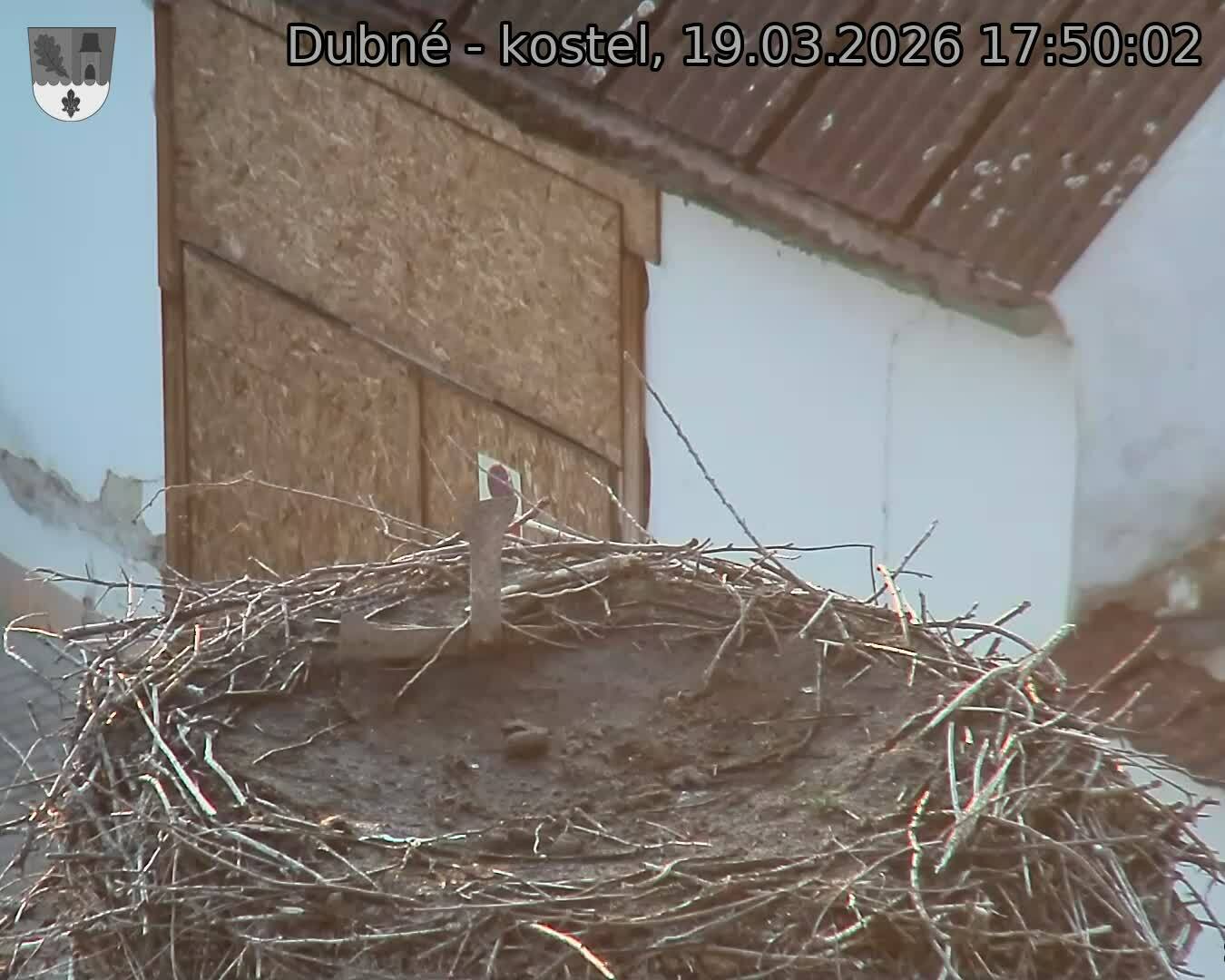 Capi_Dubne_20260319_175002.jpg (1350&nbsp;x&nbsp;1080)