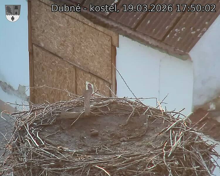 Capi_Dubne_20260319_175002.jpg (1350&nbsp;x&nbsp;1080)