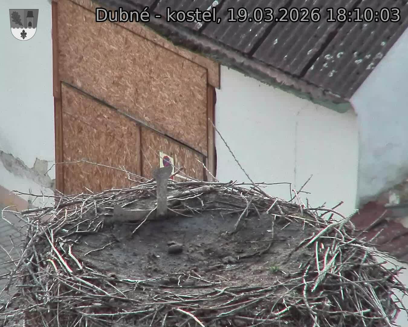 Capi_Dubne_20260319_181003.jpg (1350&nbsp;x&nbsp;1080)