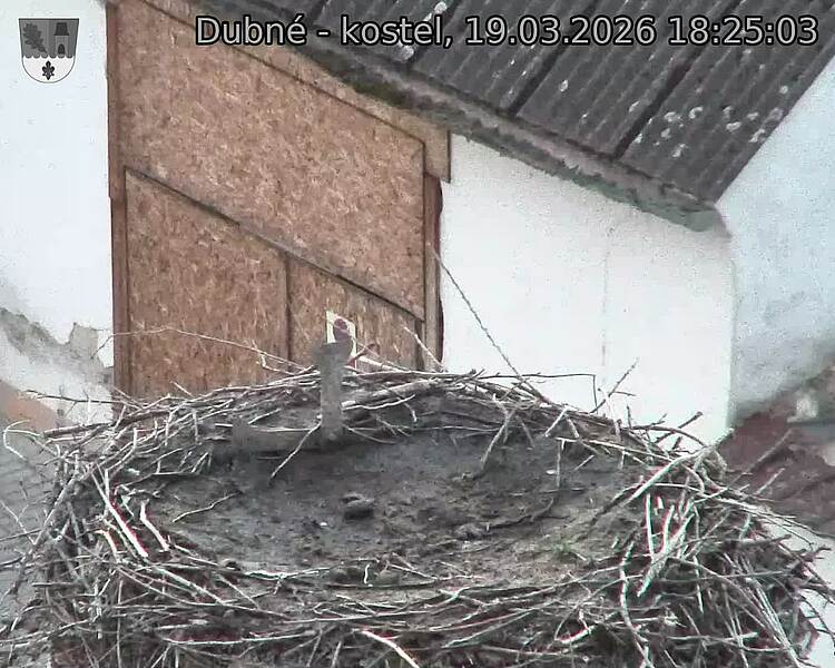 Capi_Dubne_20260319_182503.jpg (1350&nbsp;x&nbsp;1080)