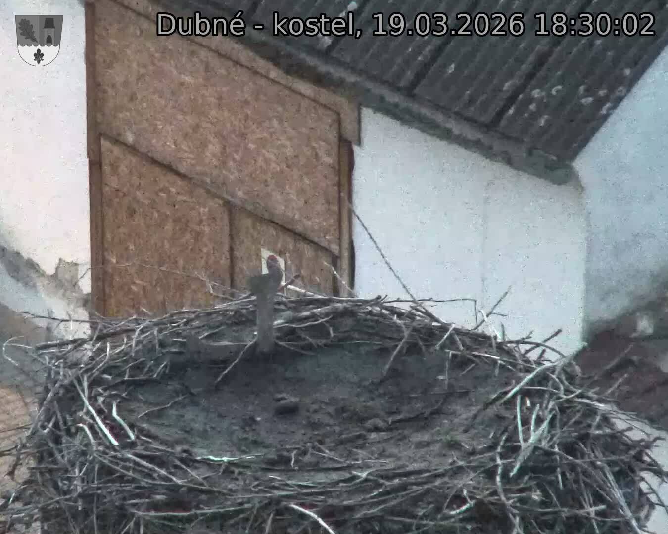 Capi_Dubne_20260319_183002.jpg (1350&nbsp;x&nbsp;1080)