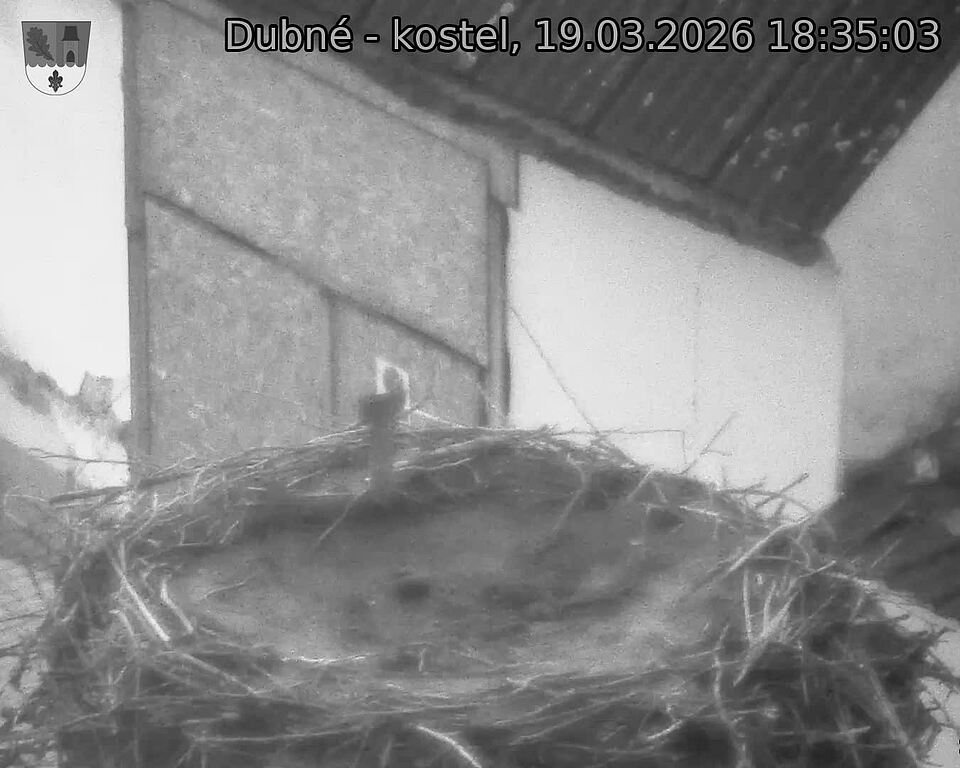 Capi_Dubne_20260319_183503.jpg (1350&nbsp;x&nbsp;1080)