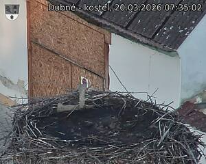 Capi_Dubne_20260320_073502.jpg (1350&nbsp;x&nbsp;1080)