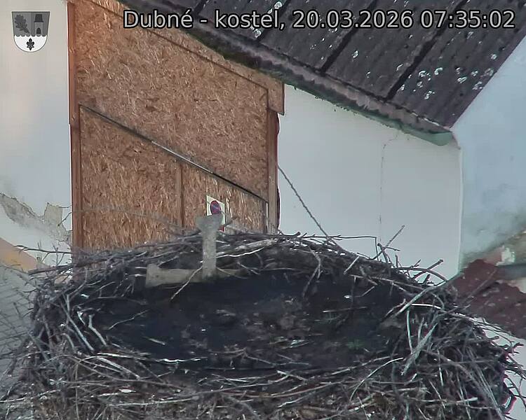 Capi_Dubne_20260320_073502.jpg (1350&nbsp;x&nbsp;1080)