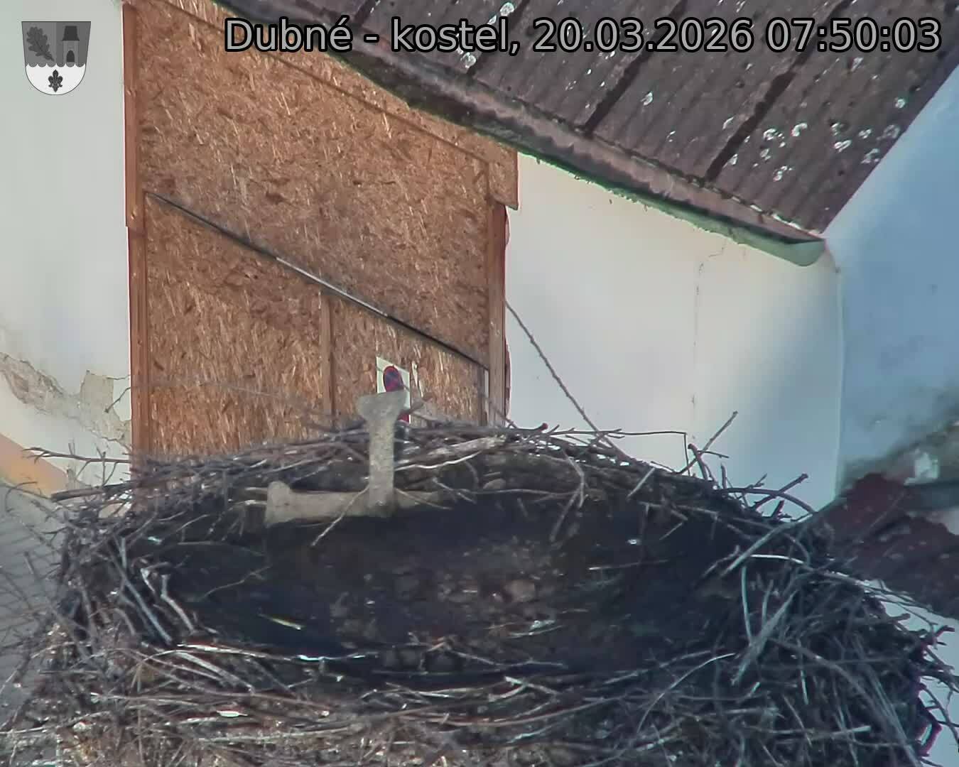 Capi_Dubne_20260320_075003.jpg (1350&nbsp;x&nbsp;1080)