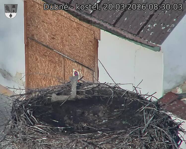 Capi_Dubne_20260320_083003.jpg (1350&nbsp;x&nbsp;1080)