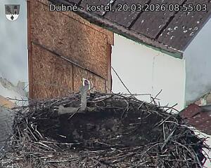 Capi_Dubne_20260320_085503.jpg (1350&nbsp;x&nbsp;1080)