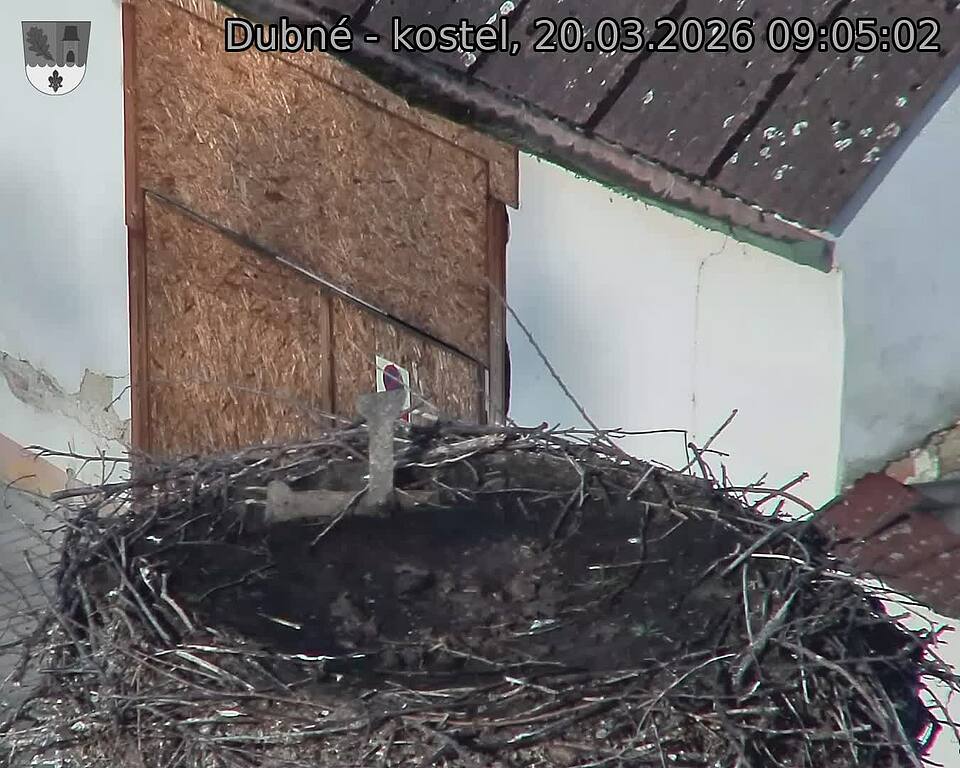 Capi_Dubne_20260320_090502.jpg (1350&nbsp;x&nbsp;1080)
