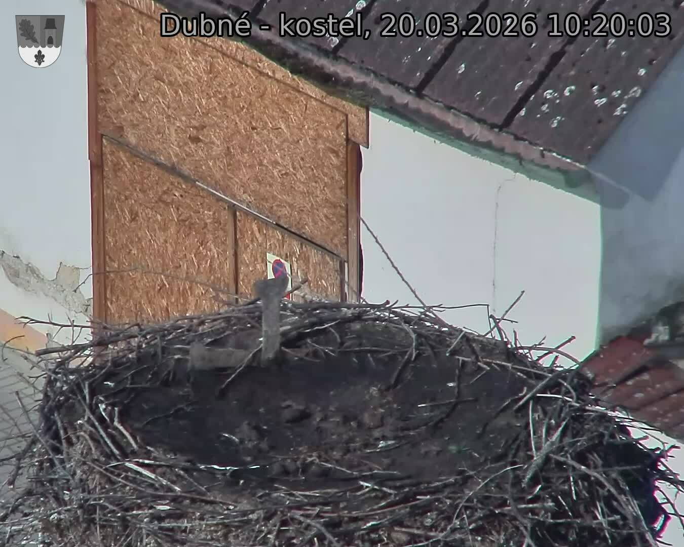 Capi_Dubne_20260320_102003.jpg (1350&nbsp;x&nbsp;1080)