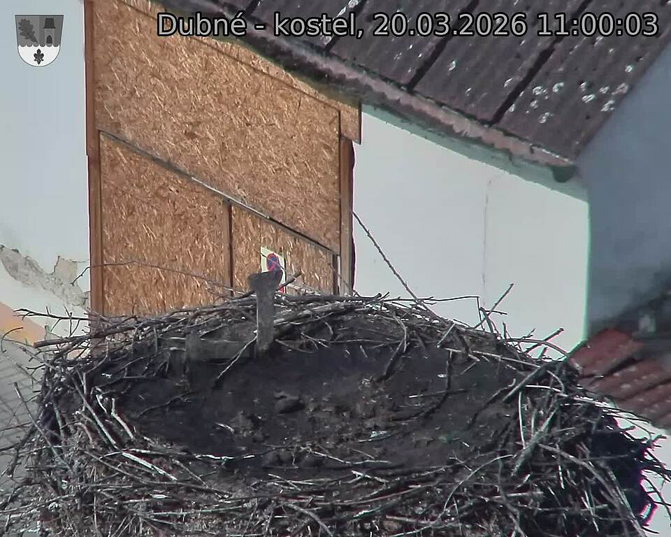 Capi_Dubne_20260320_110003.jpg (1350&nbsp;x&nbsp;1080)