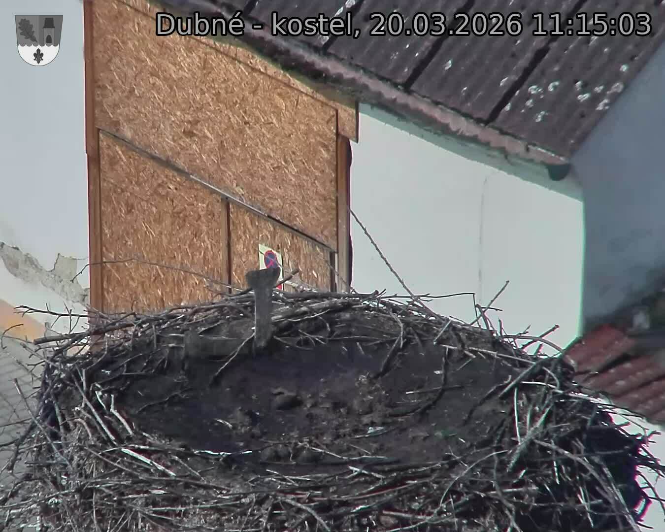 Capi_Dubne_20260320_111503.jpg (1350&nbsp;x&nbsp;1080)