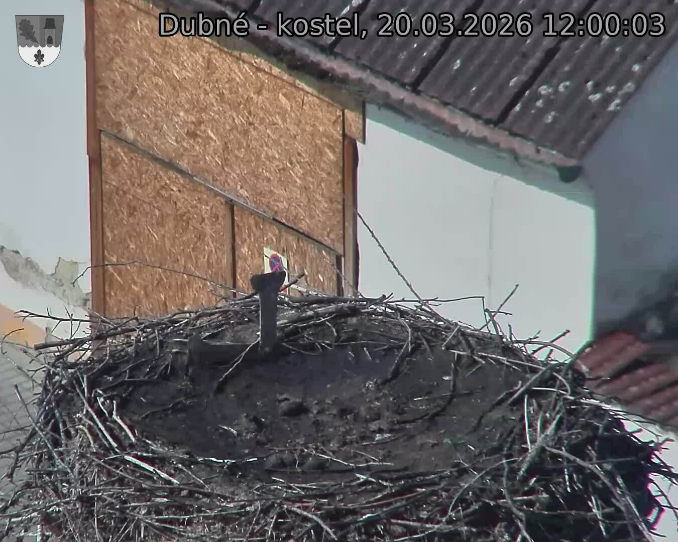 Capi_Dubne_20260320_120003.jpg (1350&nbsp;x&nbsp;1080)