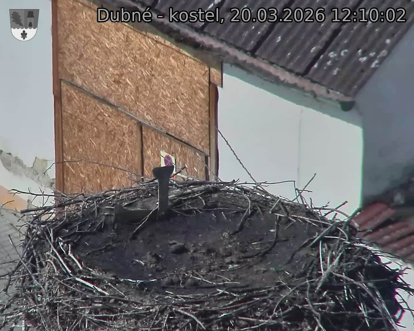 Capi_Dubne_20260320_121002.jpg (1350&nbsp;x&nbsp;1080)